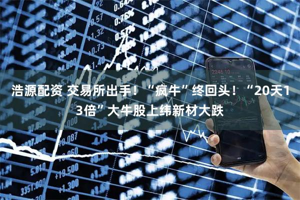 浩源配资 交易所出手！“疯牛”终回头！“20天13倍”大牛股上纬新材大跌
