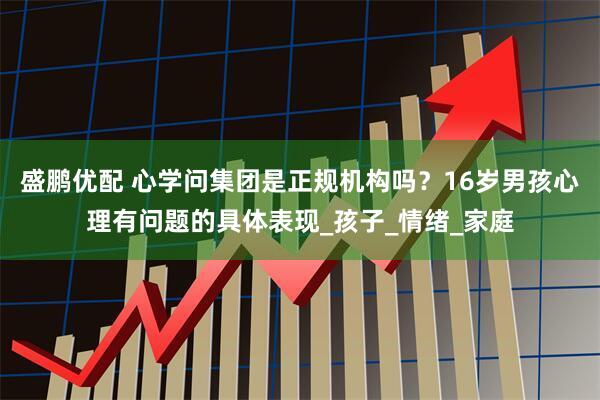 盛鹏优配 心学问集团是正规机构吗？16岁男孩心理有问题的具体表现_孩子_情绪_家庭